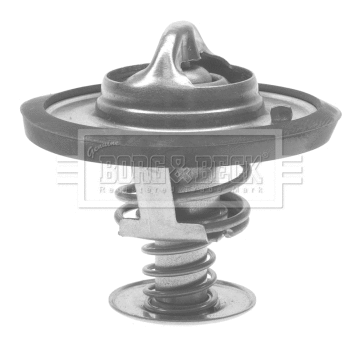 Thermostat, coolant (BTS391.88)