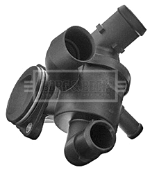 Thermostat, coolant (BBT244)