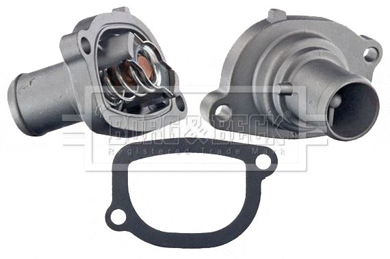 Thermostat, coolant (BBT066)