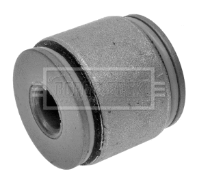 Mounting, control/trailing arm (BSK6976)