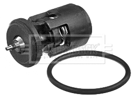 Thermostat, coolant (BBT394)