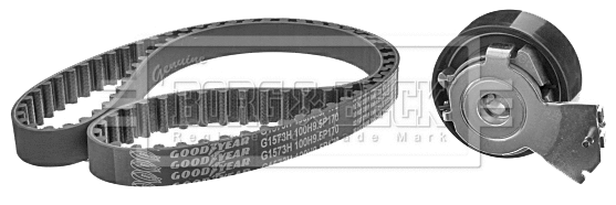 Timing Belt Kit (BTK1021)