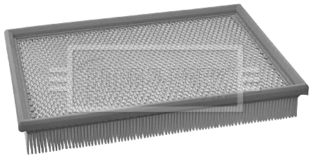 Air Filter (BFA2203)
