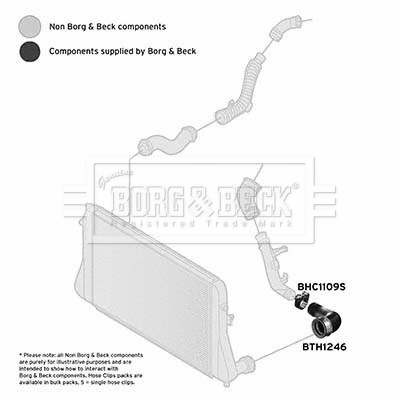Charge Air Hose (BTH1246)