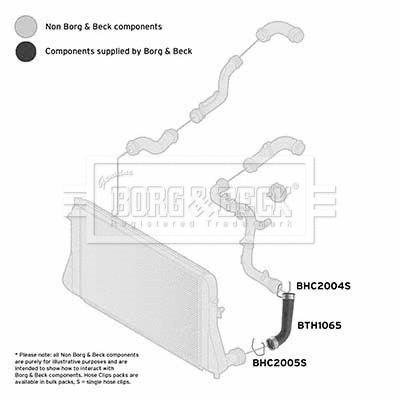 Charge Air Hose (BTH1065)