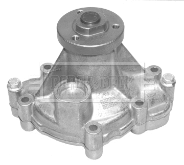 Water Pump, engine cooling (BWP2146)