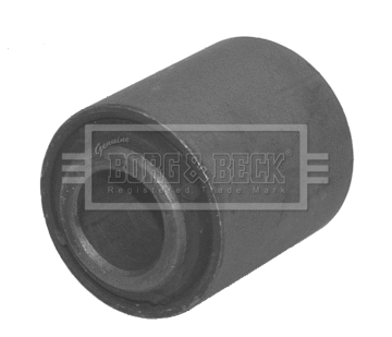 Mounting, control/trailing arm (BSK6571)
