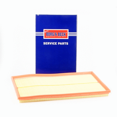 Air Filter (BFA2448HD)