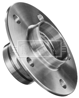 Wheel Bearing Kit (BWK1045)