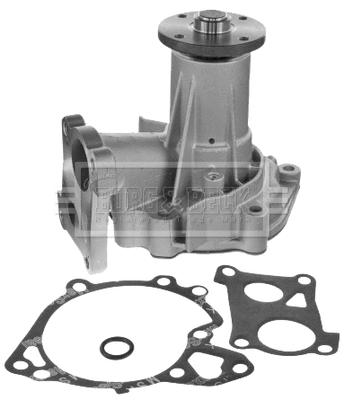 Water Pump, engine cooling (BWP2122)
