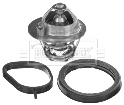 Thermostat, coolant (BBT468)