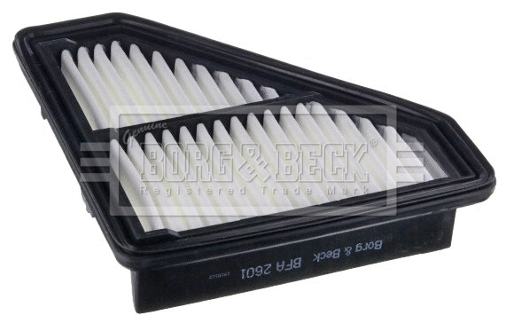 Air Filter (BFA2601)
