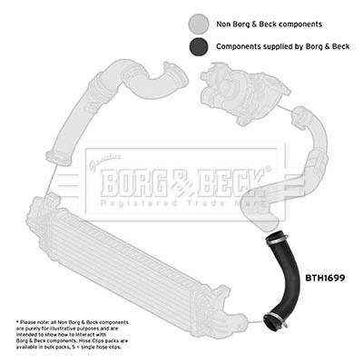 Charge Air Hose (BTH1699)