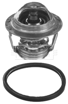 Thermostat, coolant (BBT439)
