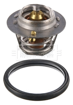 Thermostat, coolant (BBT020)