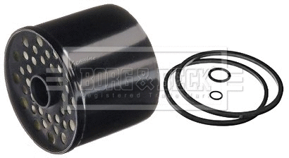 Fuel Filter (BFF8020)