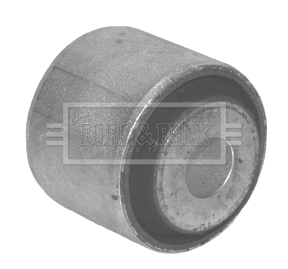 Mounting, control/trailing arm (BSK6883)