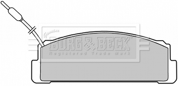 Brake Pad Set, disc brake (BBP1376)