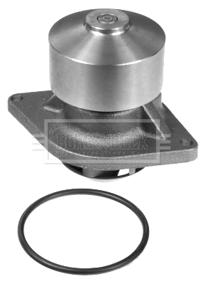 Water Pump, engine cooling (BWP32777)