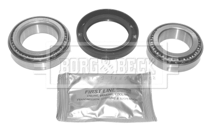 Wheel Bearing Kit (BWK456)