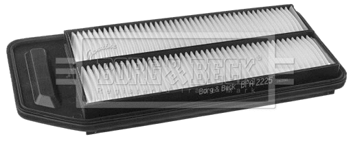 Air Filter (BFA2225)