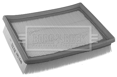 Air Filter (BFA2312)