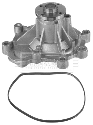 Water Pump, engine cooling (BWP2366)