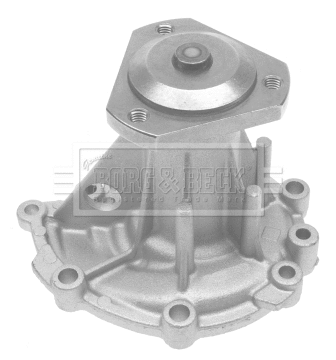 Water Pump, engine cooling (BWP1738)