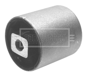 Mounting, control/trailing arm (BSK6515)
