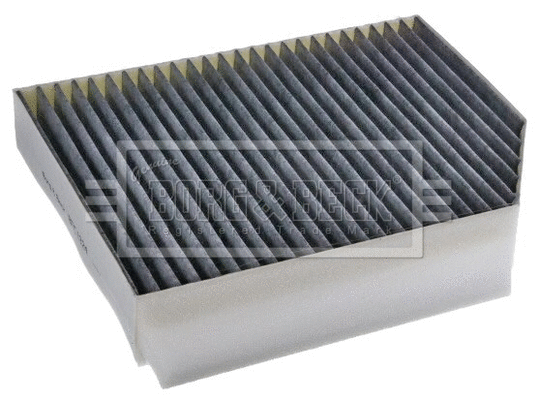 Filter, cabin air (BFC1324)
