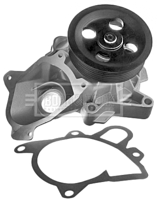 Water Pump, engine cooling (BWP2130)