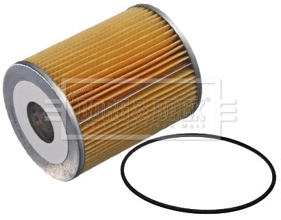 Oil Filter (BFO4148)