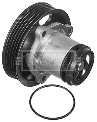 Water Pump, engine cooling (BWP2204)