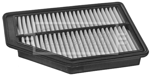 Air Filter (BFA2454)