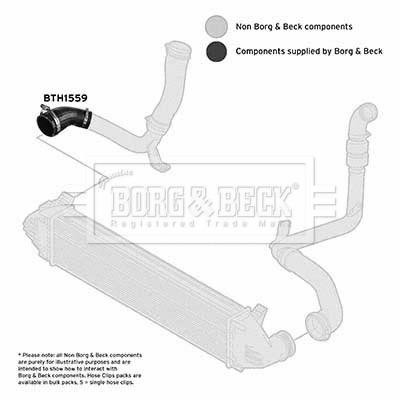 Charge Air Hose (BTH1559)