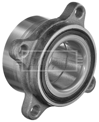 Wheel Bearing Kit (BWK1372)
