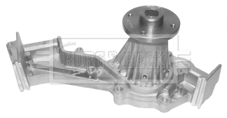 Water Pump, engine cooling (BWP2173)