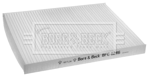 Filter, cabin air (BFC1246)
