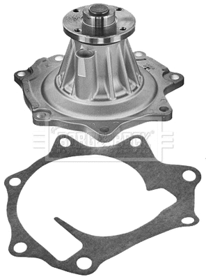 Water Pump, engine cooling (BWP2314)