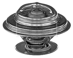 Thermostat, coolant (BBT369)