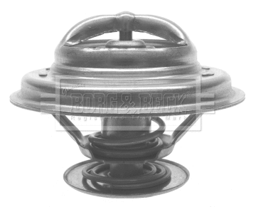Thermostat, coolant (BTS199.88)