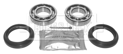 Wheel Bearing Kit (BWK381)