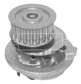 Water Pump, engine cooling (BWP1304)