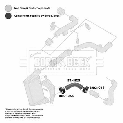 Charge Air Hose (BTH1125)