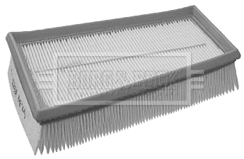 Air Filter (BFA2132)