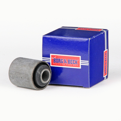 Mounting, control/trailing arm