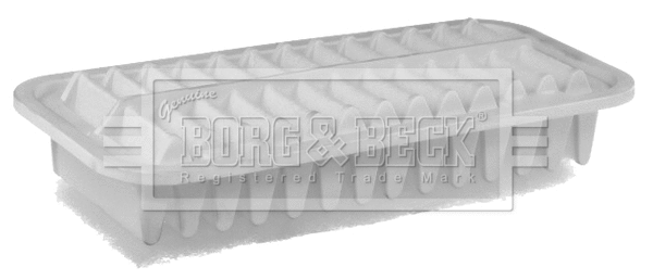 Air Filter (BFA2031)