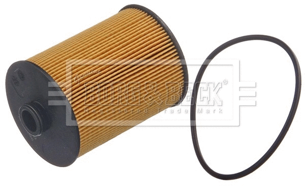 Oil Filter (BFO4267HD)