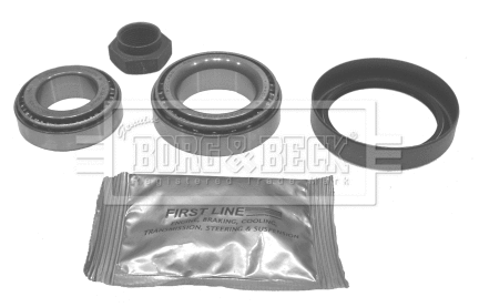 Wheel Bearing Kit (BWK493)