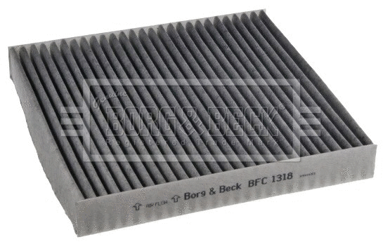 Filter, cabin air (BFC1318)